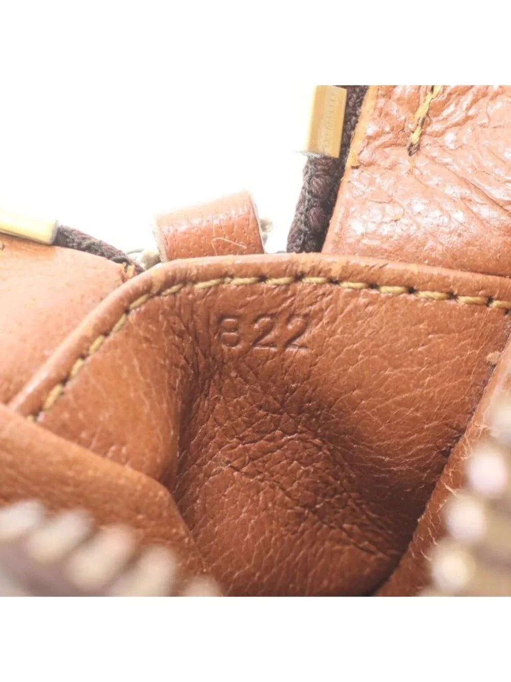 Louis Vuitton Monogram Mini Danube Leather